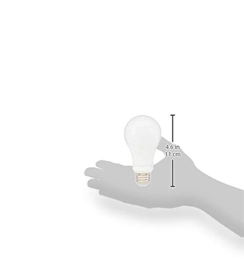 A19 LED Light Bulbs — LED, Amazon Basics