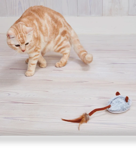 Wild Mouse Robot Mouse Max Self-driving — Cat Playthings, Hidden Nest