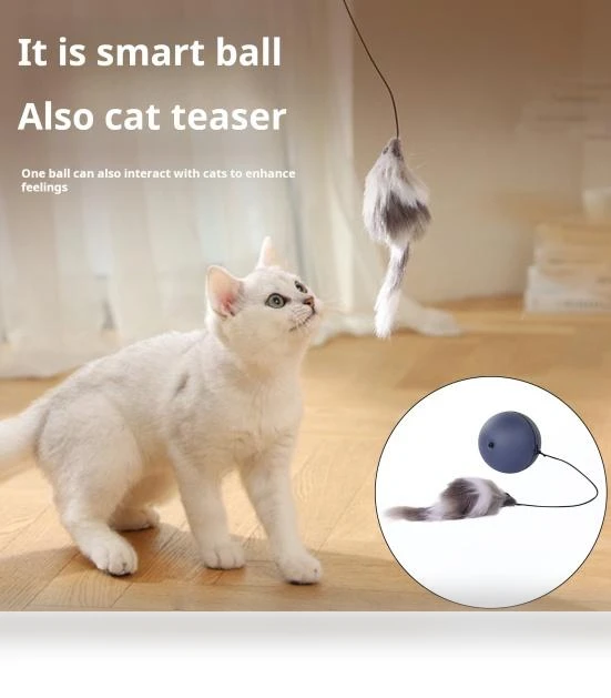 Automatic Cat Toy with Rolling Ball — Cat Playthings, fanweixi