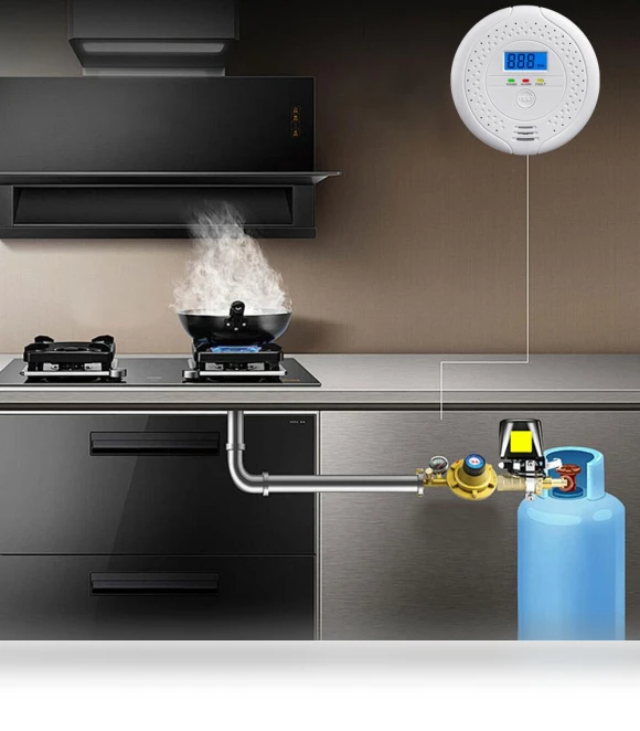 Digital Carbon Monoxide Detector — Carbon Monoxide Detectors, Good Household Items
