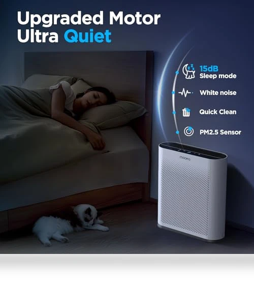 H13 HEPA Air Purifier — Activated Carbon Air Purifiers, Mooka