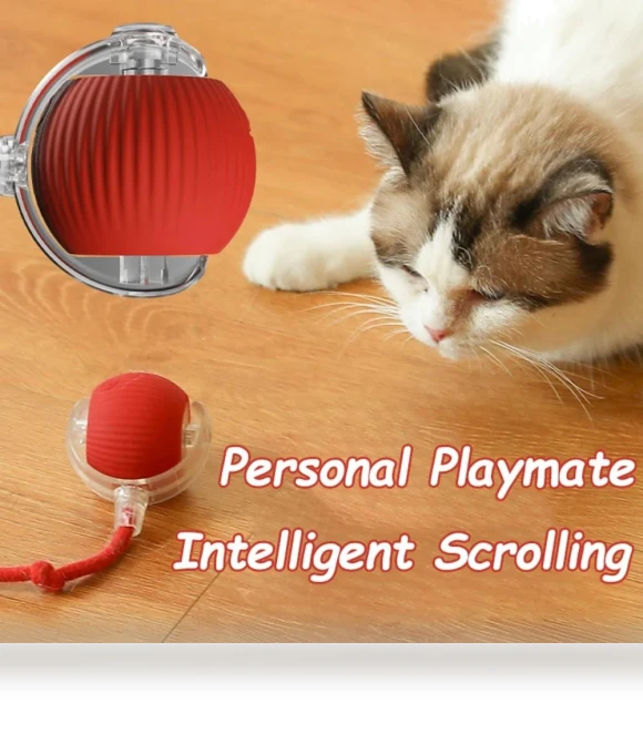 Interactive Cat Toy Ball — Cat Playthings, KITCHEN-MALL