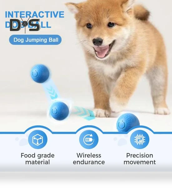 Interactive Pet Ball Toy — Interactive Animal Companions, Kitty Cat House