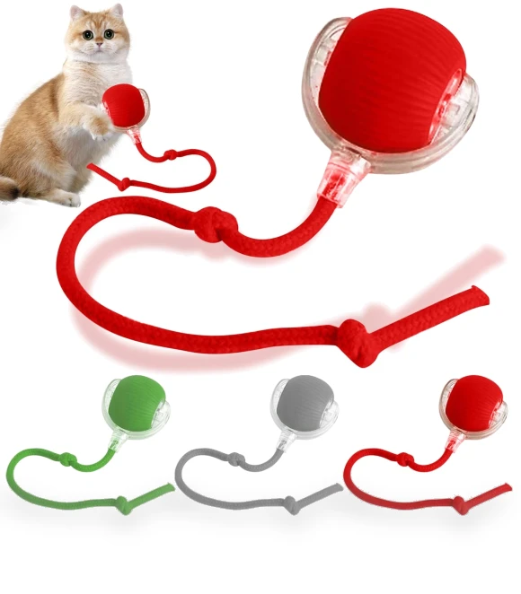 Interactive Pet Toy Ball — Interactive Animal Companions, Jiangnan A