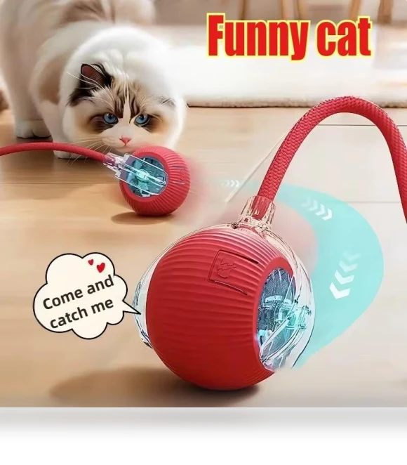 Interactive Pet Toy Ball — Cat Playthings, vinc