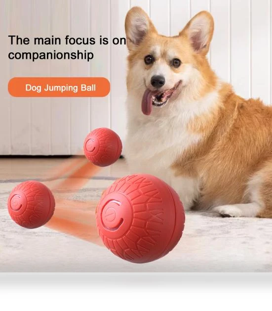 Interactive Pet Toy Ball — Interactive Animal Companions, yangyizhi
