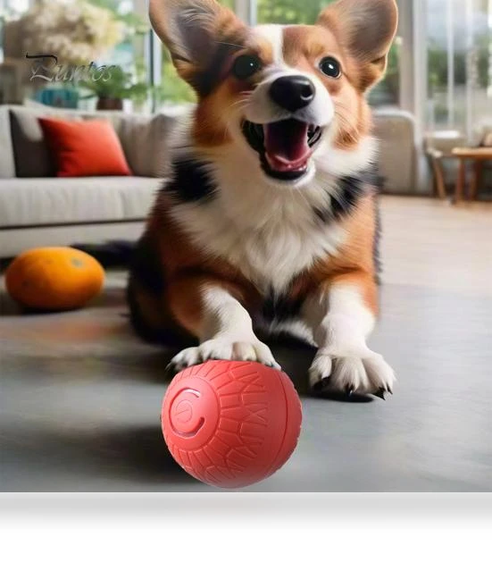 Interactive Smart Ball for Pets — Cat Playthings, Pet park