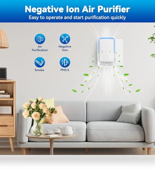 Negative Ion Air Ionizer — Air Ionizers