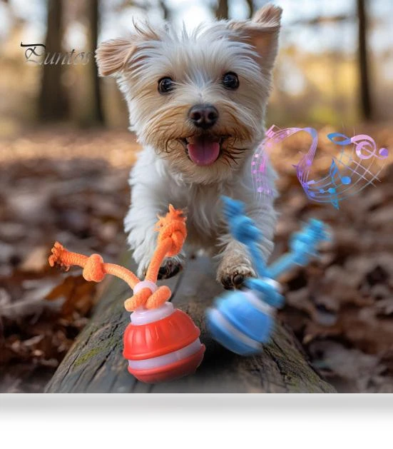 Smart Automatic Dog Toy with Moving Ball and Squeaky Motion Sensor — Balls, Pet park
