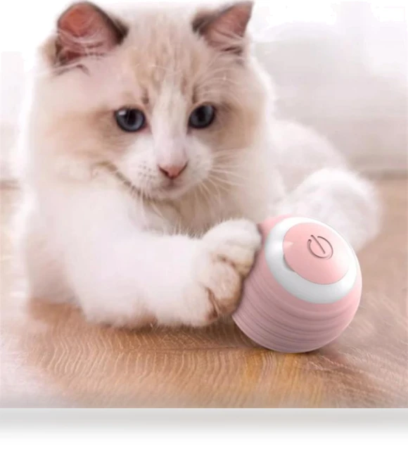 Smart Dog Toys — Automatic Launchers, Boyhood
