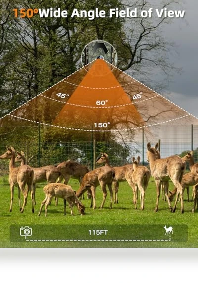 Trail Camera — Outdoor & Wildlife Cameras, EBXDW