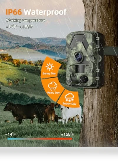 Trail Camera — Outdoor & Wildlife Cameras, EBXDW