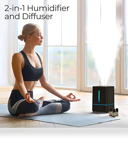 Cool Mist Humidifier — Air Moisturizers, Everlasting Comfort