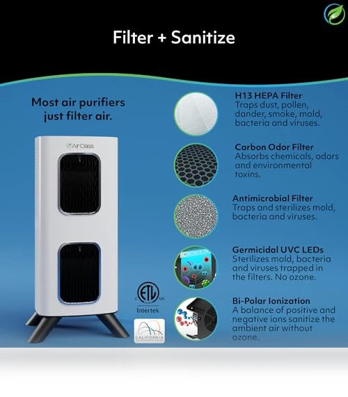 H13 HEPA Filter Air Purifier — Activated Carbon Air Purifiers, Air Oasis