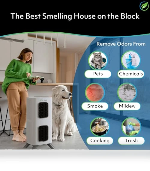 H13 HEPA Filter Air Purifier — Activated Carbon Air Purifiers, Air Oasis