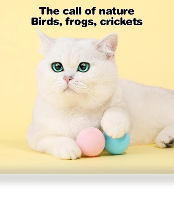 Interactive Plush Electric Ball with Catnip — Balls, Pansyf