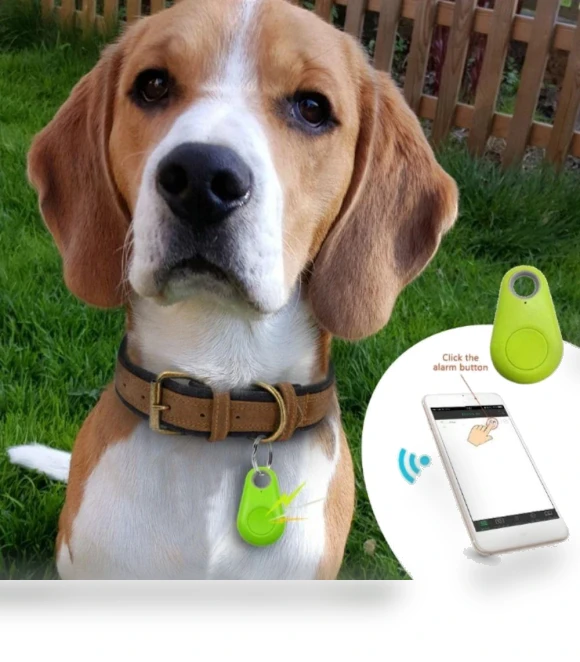 Portable Pet Bluetooth GPS Tracker — Item Locators, shengtukeji