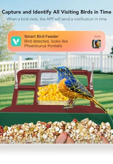 Smart Bird Feeder with Camera — Backyard Birding, Mstulp