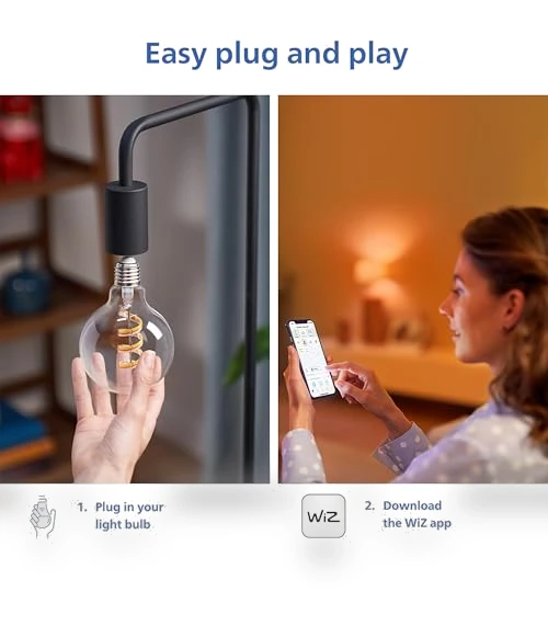 Amber and Full Color Vintage Edison LED Light Bulb — Incandescent, Philips