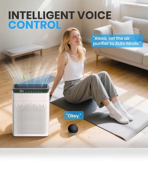 Large Room Air Purifier with Smart WiFi — Activated Carbon Air Purifiers, FLANUR