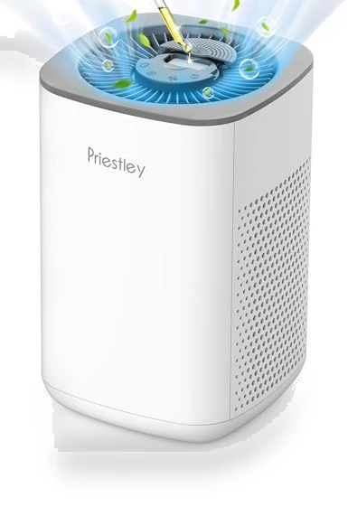 Small Air Purifier with Essential Oil Diffuser — Activated Carbon Air Purifiers, Priestley