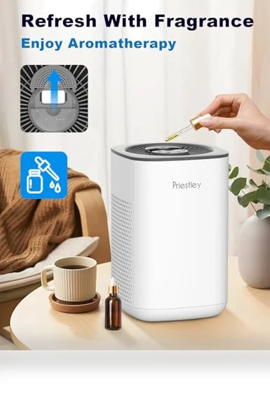 Small Air Purifier with Essential Oil Diffuser — Activated Carbon Air Purifiers, Priestley
