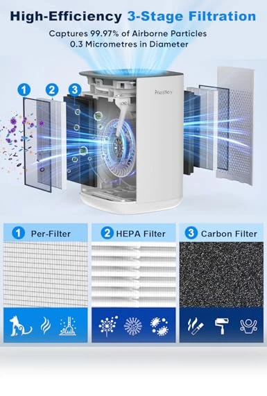 Small Air Purifier with Essential Oil Diffuser — Activated Carbon Air Purifiers, Priestley