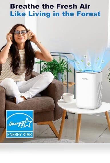 Small Air Purifier with Essential Oil Diffuser — Activated Carbon Air Purifiers, Priestley