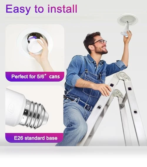 Color Changing LED Flood Light Bulbs — Lighting Solutions, ILC