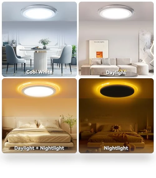 Flush Mount LED Ceiling Light with Nightlight — Overhead Lighting, Aphyni
