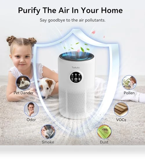 HEPA Air Purifier for Large Rooms — Activated Carbon Air Purifiers, Tailulu