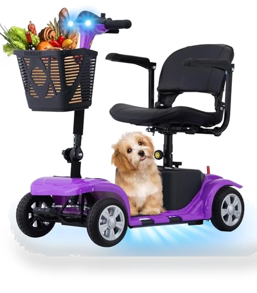 Mobility Scooter for Adults — Electric Self-Balancing Scooters, SUNDERWELL