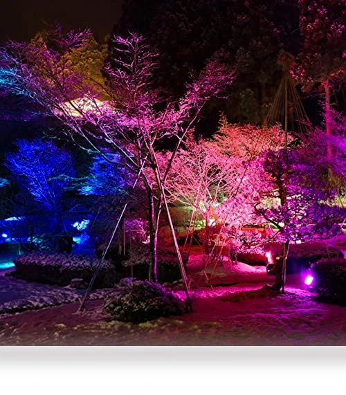 Smart Color Change LED Flood Light — Outdoor Security & Flood Lighting, Neliwo