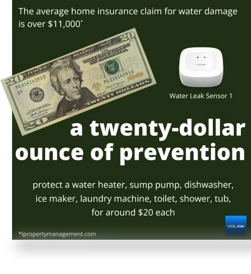 Smart Home Starter Kit: Hub & Water Leak Sensors — Smart Home Modules, YoSmart