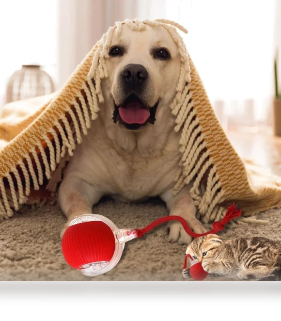 Automatic Smart Cat Toys — Cat Playthings, AE Selection