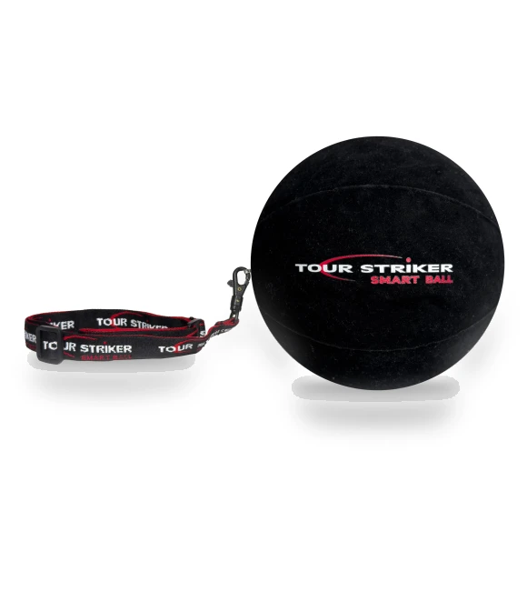 Smart Ball Golf Training Aid — Strength Trainers, MIYAKO