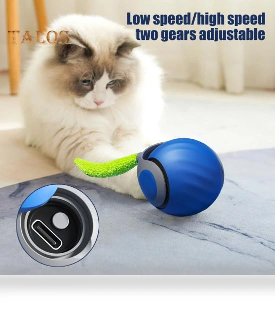 Interactive Cat Toy Ball — Cat Playthings, Vogue Wardrobe