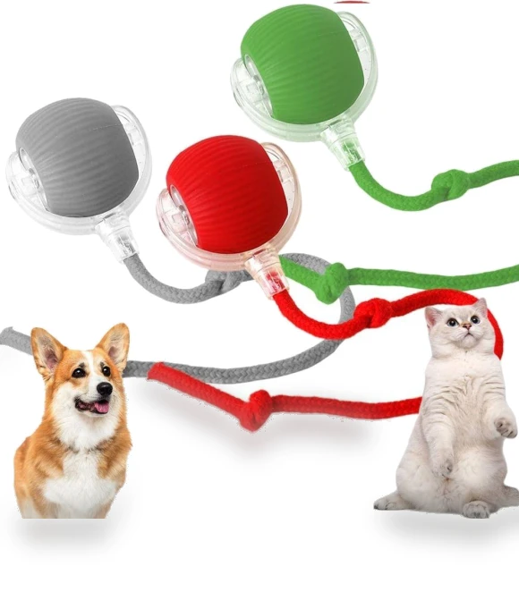 Rechargeable Electric Cat Toy Ball — Cat Playthings, Chengruike