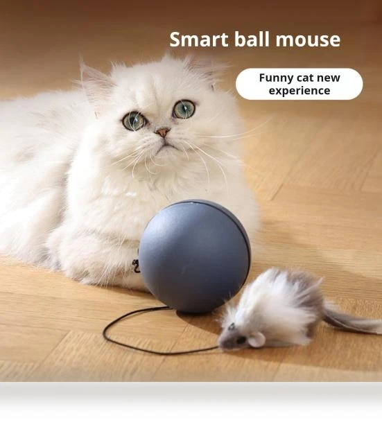 Automatic Cat Toy with Rolling Ball — Balls, I love My Pet