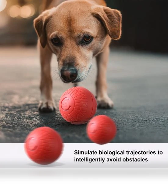 Interactive Rolling Ball Toy for Dogs — Automatic Launchers, Uomobo