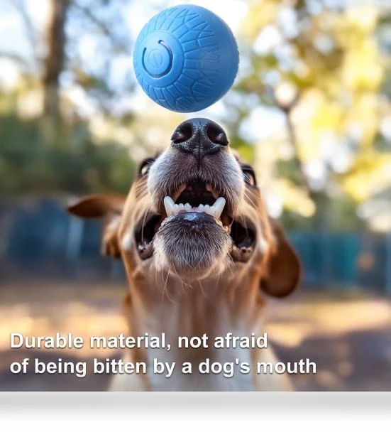 Interactive Rolling Ball Toy for Dogs — Automatic Launchers, The Secret Life of Pet