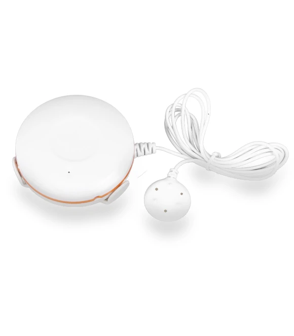 Water Leak Detector — Water Leak Detection Systems, Neoglint