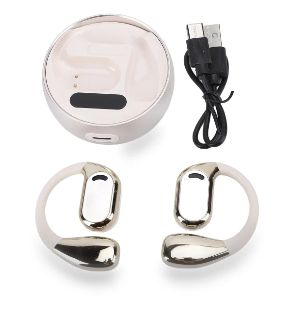 AI Translation Earphones — Language Translators, Neoglint