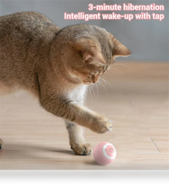 Smart Pet Toys — Balls, Two Shy Girl