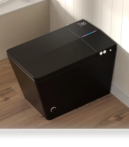 Smart Bidet Toilet — Bathroom Essentials, WinZo