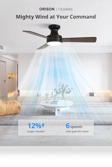 Smart Ceiling Fan with Lights — Ceiling Fan Wall Controls, Orison