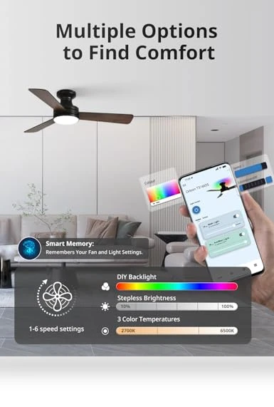 Smart Ceiling Fan with Lights — Ceiling Fan Wall Controls, Orison