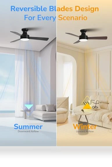 Smart Ceiling Fan with Lights — Ceiling Fan Wall Controls, Orison