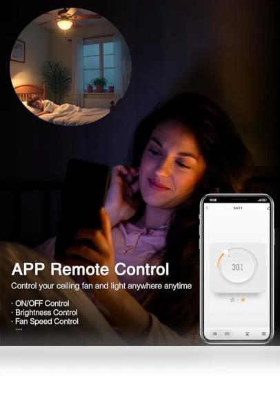Smart Dimmer Switch with Ceiling Fan Control — Ceiling Fan Wall Controls, GHome Smart