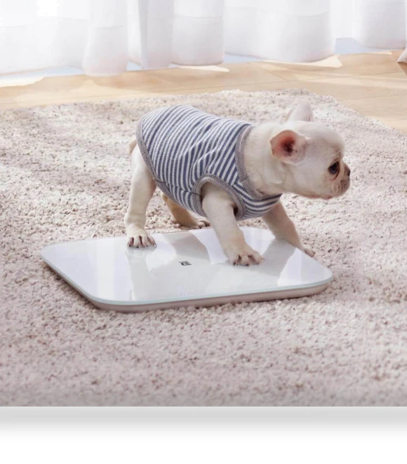 Smart Scale 2 — Weight Management Tools, Mijia